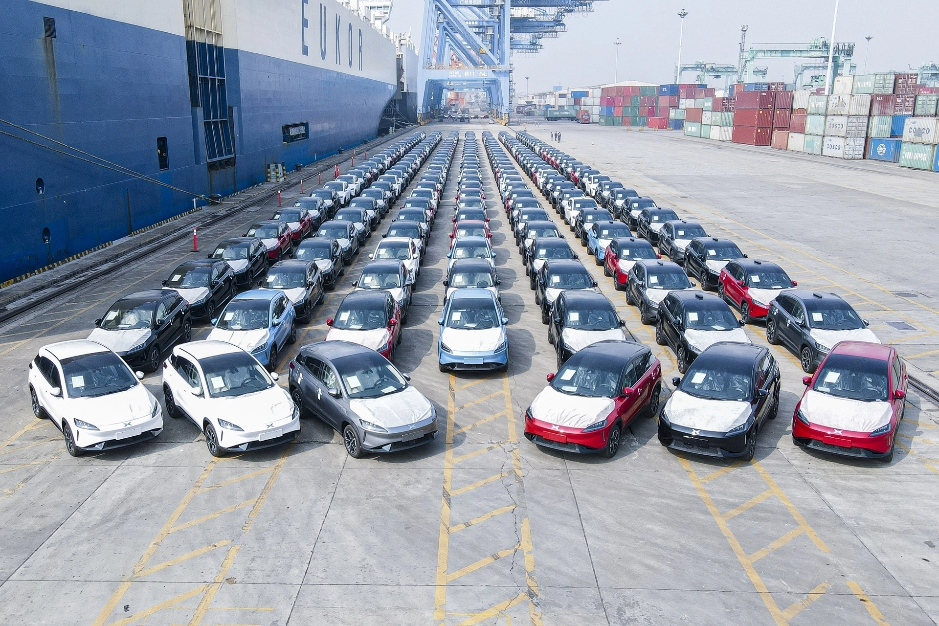 Ampnet Photo 20220107 206055