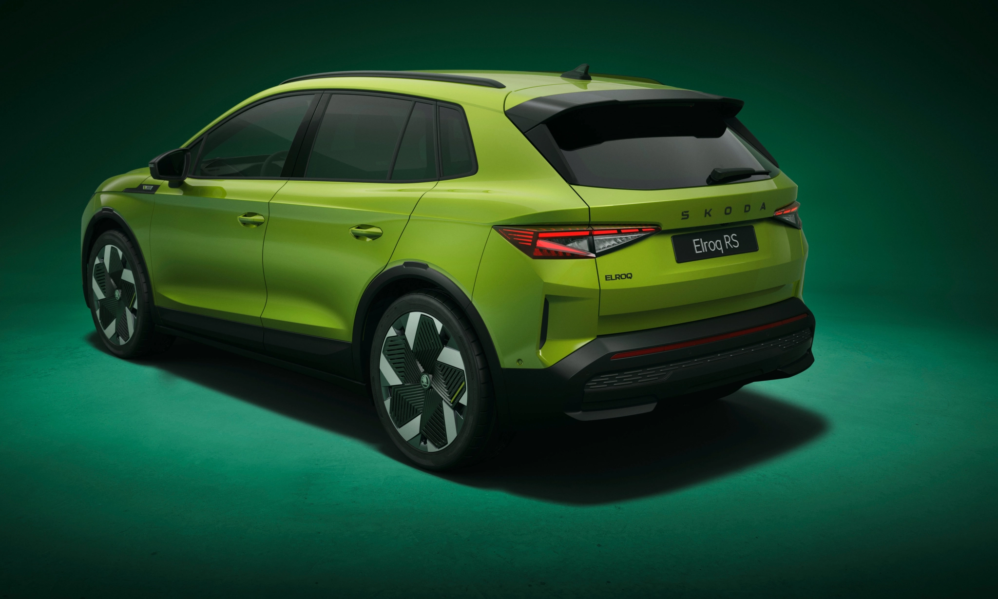 ELQ RS 006 Rear Detail 35983c36