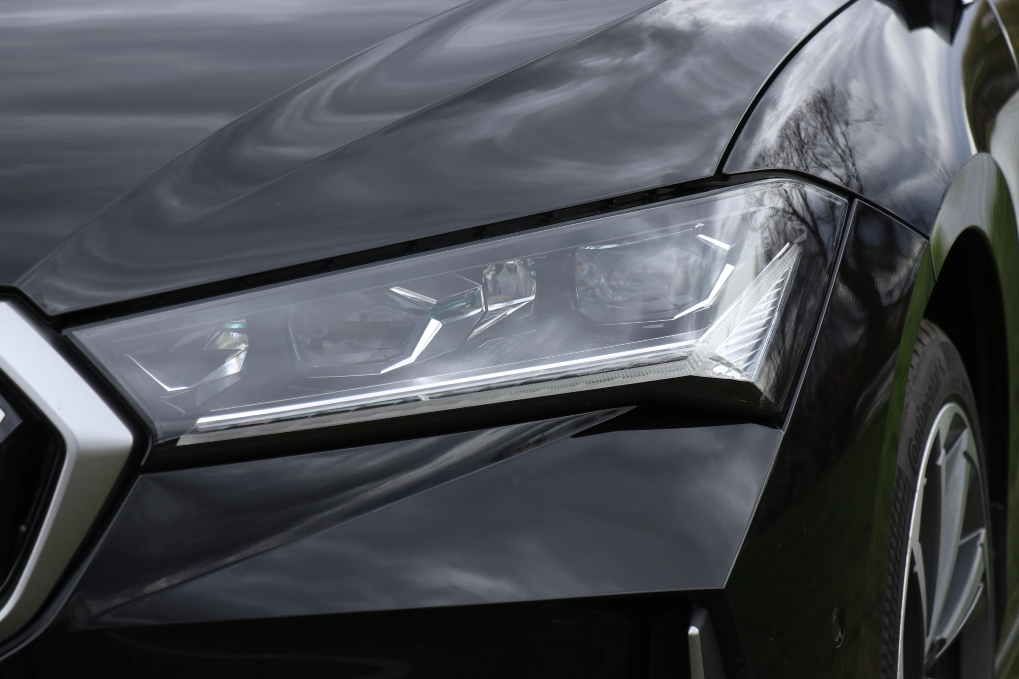 NasdgsdgasdgasdgIMG 7837