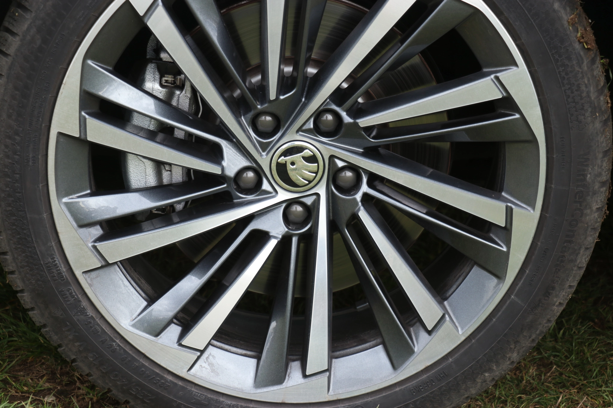 GdasdgsadgasdgsdgsdgsdgsdgasdgaIMG 7857