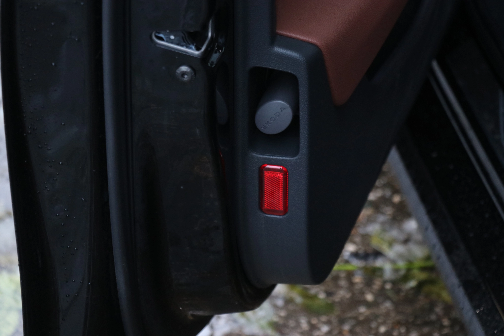 ČldfgpoapfodgkapodfgpoadkfhIMG 8297